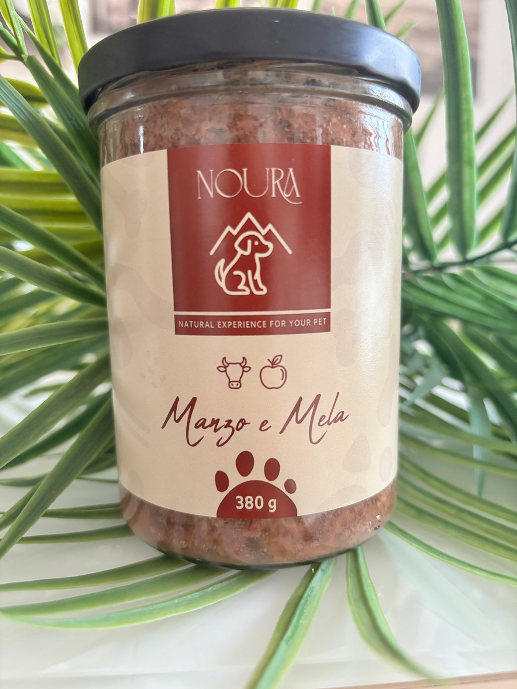 Ragù di Manzo e mele