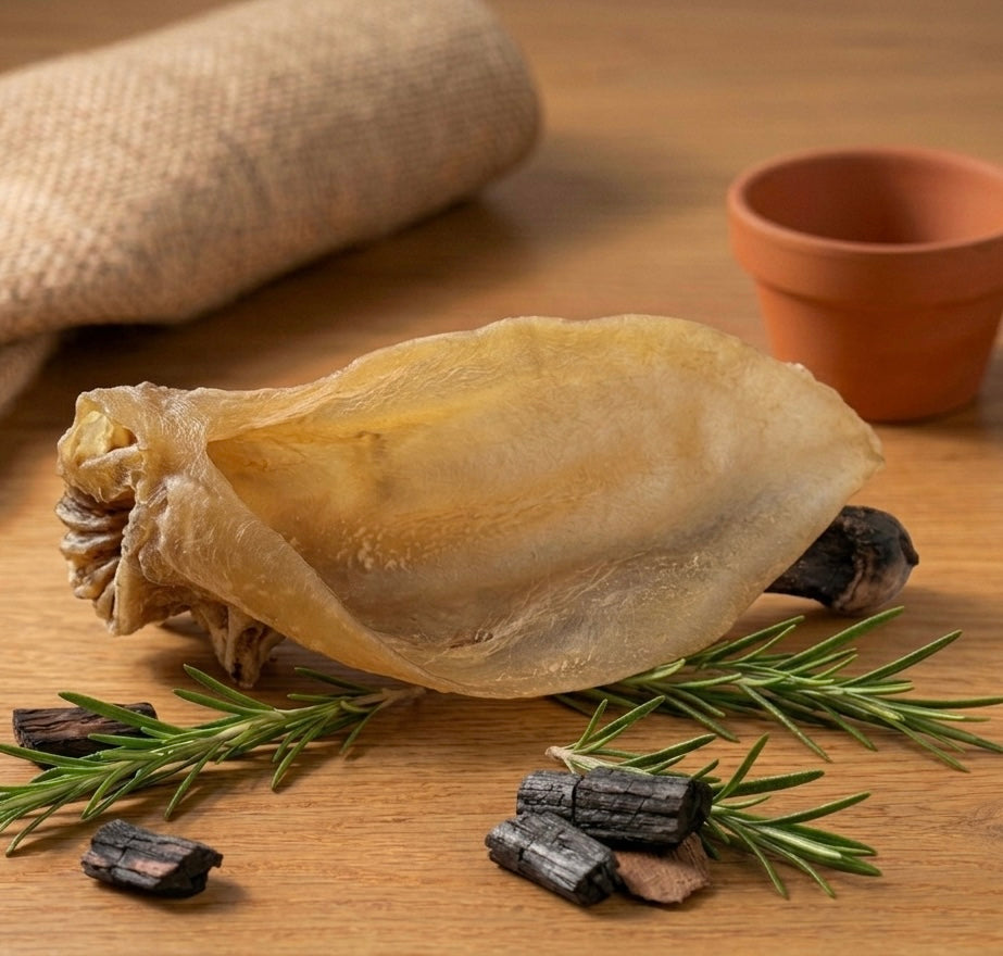 Orecchie di agnello