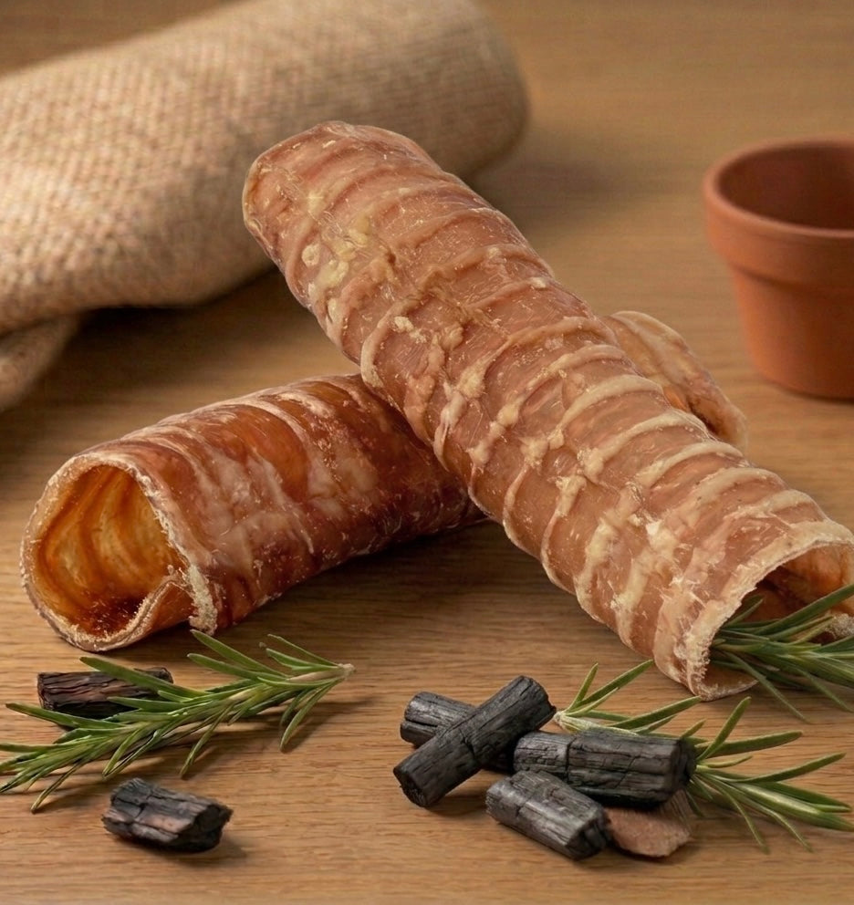 Trachea di bovino